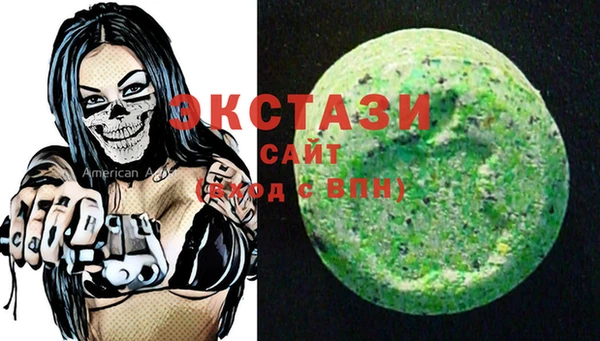 тгк Каменка