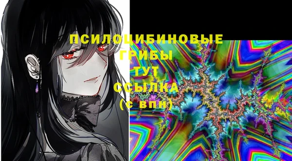 ECSTASY Каменск-Шахтинский
