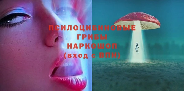 тгк Каменка
