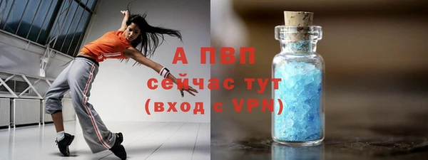 тгк Каменка