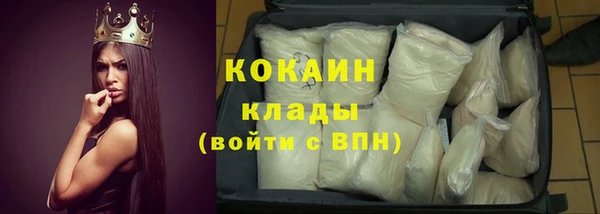 тгк Каменка