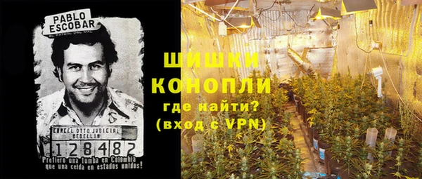 метадон Каменногорск