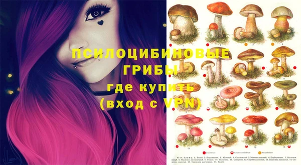метадон Каменногорск