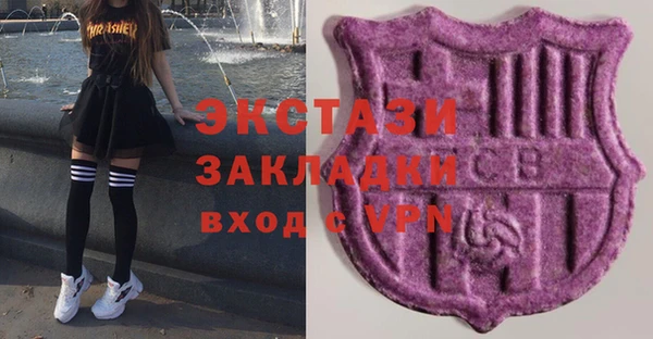 тгк Каменка