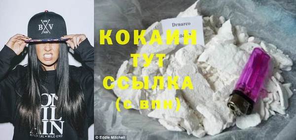 тгк Каменка