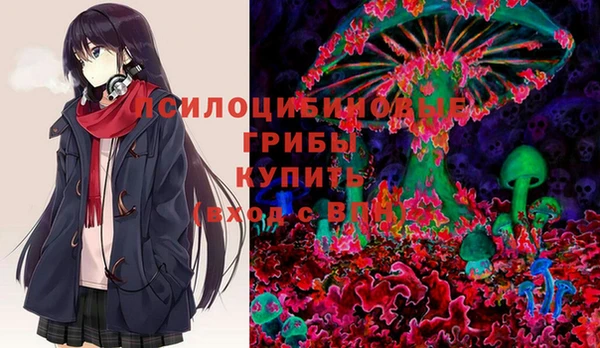 тгк Каменка