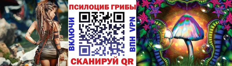 Псилоцибиновые грибы прущие грибы  Купить  Гуково 